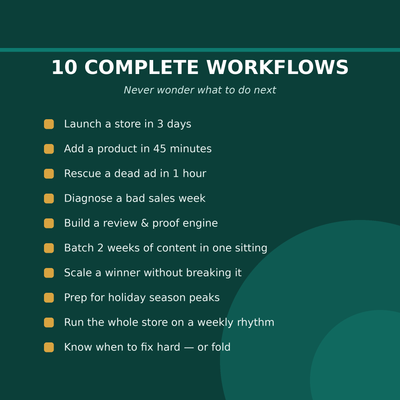 The E-commerce AI Playbook — 90+ Copy-Paste Prompts to Run Your Store Like a Team of Five